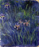 Monet, Claude Oscar - Irises